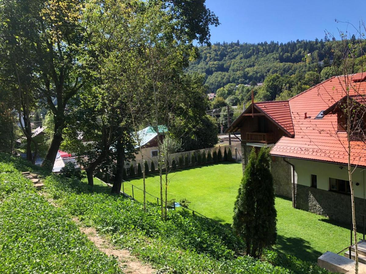 Pensiunea Piscul Cainelui Sinaia Zewnętrze zdjęcie
