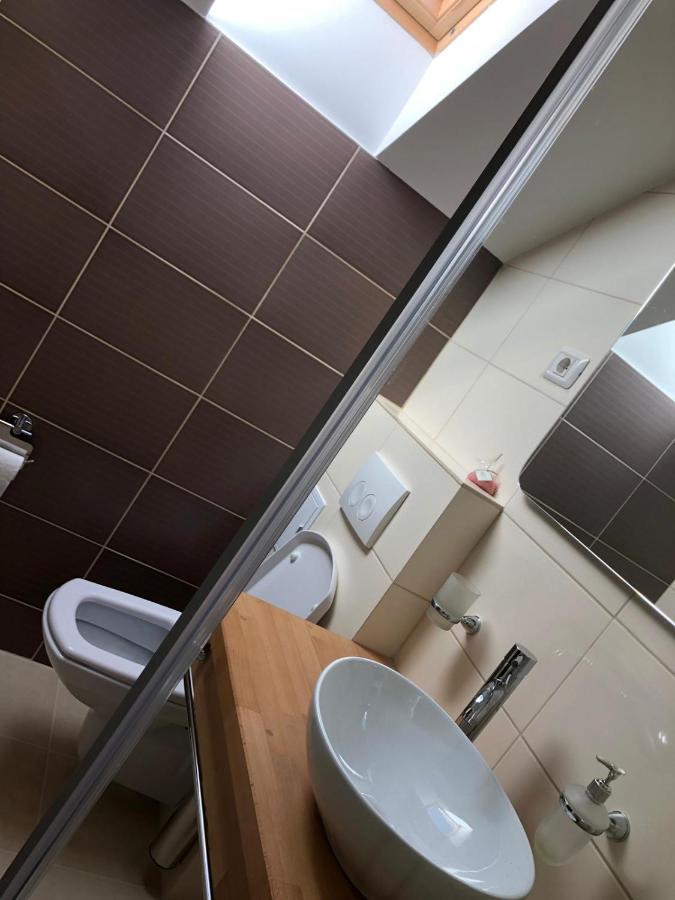Pensiunea Piscul Cainelui Sinaia Zewnętrze zdjęcie