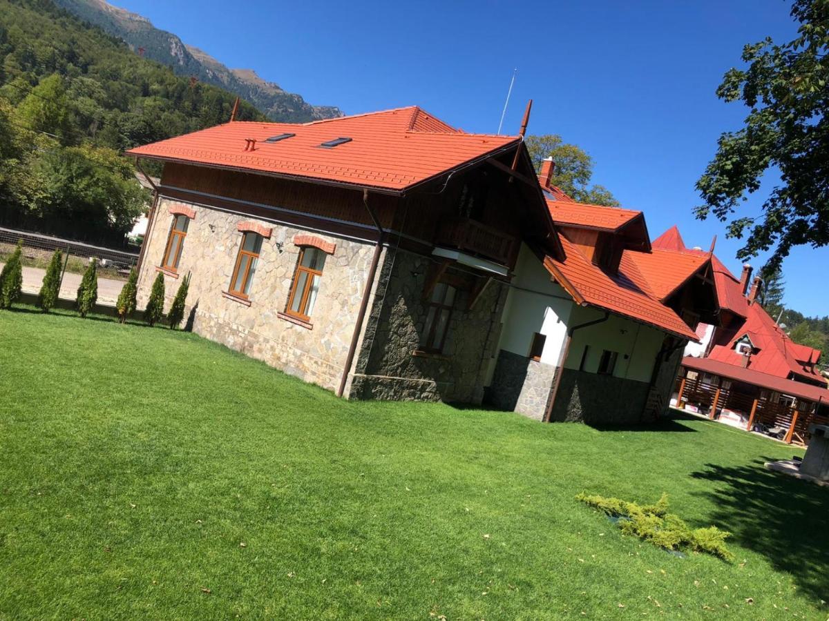 Pensiunea Piscul Cainelui Sinaia Zewnętrze zdjęcie