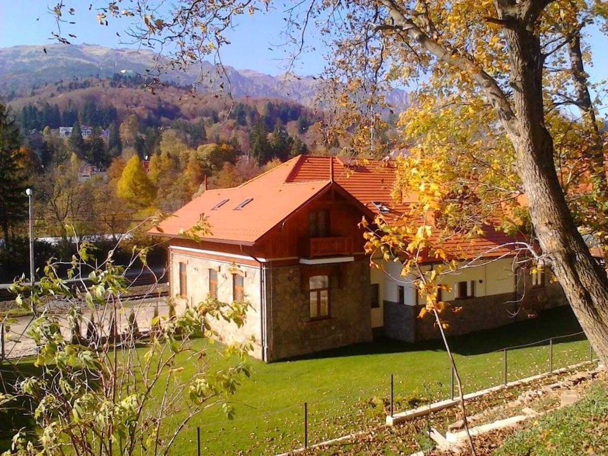 Pensiunea Piscul Cainelui Sinaia Zewnętrze zdjęcie